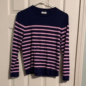 J. Crew Navy and Pink Striped Pullover